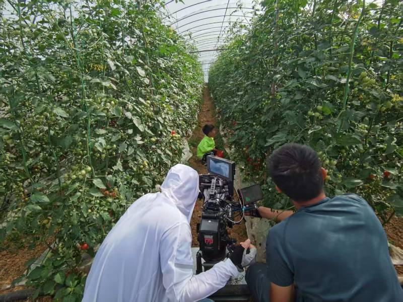 上高县产品宣传视频拍摄公司进阶指南，助力品牌抢占传播高地